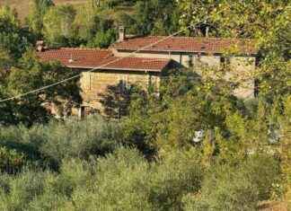 Femminicidio nel casolare: ultime notizie CGIL – Ansa.it news-14092024-055641