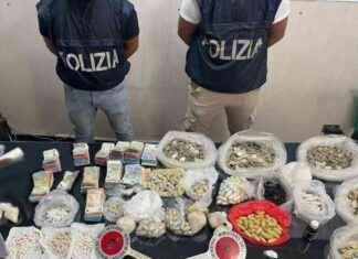 Laboratorio droga scoperto Palermo: due arresti – Ansa.it news-14092024-080106