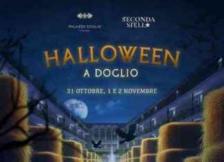 Halloween a Doglio: Il Labirinto del Terrore – Tre Giorni di Brivido per i Bambini news-14092024-082452