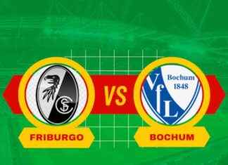 Pronostico Friburgo vs Bochum: Chi Vincerà il 14 settembre 2024 Bundesliga? news-14092024-090623