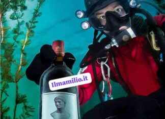 Degustazione Vini Cantina Monte Due Torri a Nemi – Antichi Sipari news-14092024-092603