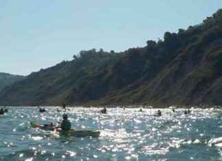 Esplorazione in canoa lungo la Costa del San Bartolo: guida per principianti news-14092024-094559
