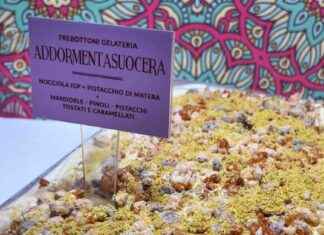 Nuovi gusti alla gelateria Trebottoni per la Festa della Madonna: Addormentasuocera e Nzudda con Gassosa al Caffè news-14092024-100458