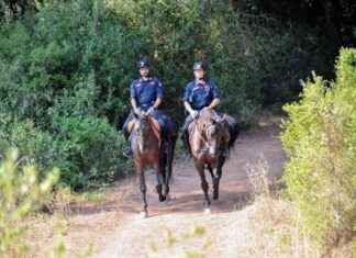 Scandalo sessuale: politico e amante sorpresi dai vigili nella pineta di Ostia. news-14092024-112055