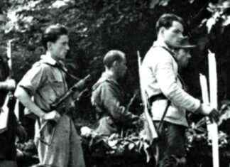 Il potere dei ricordi: come preservare la memoria attraverso il tempo news-14092024-122402