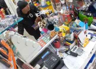 Arrestato furbetto del Lotto che rubava caramelle ai bambini in auto news-14092024-215558