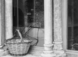 Roma Report: Scopri le meraviglie della Città Eterna news-14092024-215739