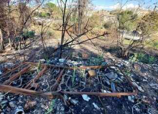 Pulizia di Monte Mario: Soluzione ai Rifiuti e Accampamenti Abusivi news-14092024-215955