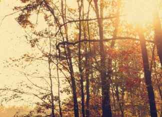 Quanto dura l’anticiclone delle Azzorre: previsioni meteo Giuliacci news-15092024-020056