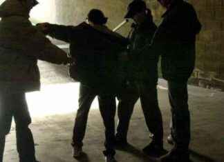 Francesca Negri arrestata: pusher baby-vip spacciava dai domiciliari. news-15092024-060440