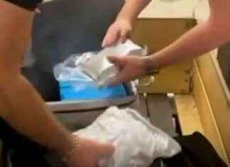 Blitz antidroga a Roma: 1000 chili sequestrati a Monte Mario e Anagnina news-15092024-080640