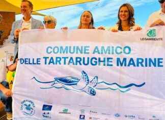 Roma: Protezione e conservazione delle tartarughe marine news-15092024-100153