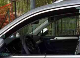 Ladri incastrati dalle torce elettriche: vetro del suv spaccato e svaligiato news-15092024-121123