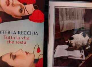 Recensione libro Tutta la vita che resta di Roberta Recchia: Le pillole di Polly – RomaDailyNews news-15092024-160838