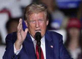 Attentato a Donald Trump nel campo da golf: lo staff rassicura sulla sua incolumità news-15092024-221242