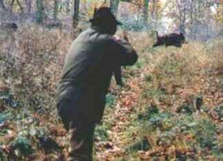 Cacciatore gravemente ferito durante battuta di caccia a Marcellina: incidente inaccettabile news-15092024-222343