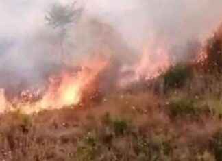 Incendio a Serpentara: Terzo Fuoco in Tre Giorni, Via Radicofani Coinvolta news-17092024-004216