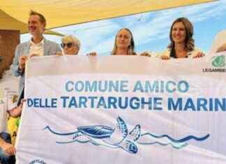 Protocollo d’intesa per la tutela delle tartarughe marine a Capocotta, Roma news-17092024-105155