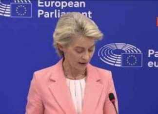 I sei vicepresidenti Ue nominati da von der Leyen: Fitto, Sèjournè e Kallas news-17092024-125333