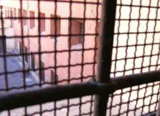 Detenuto di 50 anni trovato impiccato a Regina Coeli: incidente o suicidio? news-17092024-125441