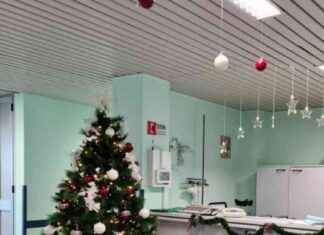Vietati alberi e presepi negli ospedali Asl Roma 6: Riduzione rischio incendi news-18092024-035508