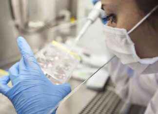 Vaccini Covid: Open Day a breve nel Lazio news-18092024-201336