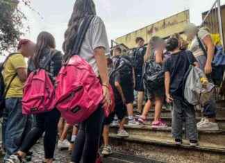 Scuola Roma: 20mila professori con titoli falsi o non riconosciuti news-20092024-042121