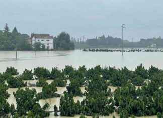 Centinaia di imprese colpite dal maltempo in Emilia Romagna e Marche news-20092024-145154