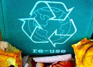 Raccolta straordinaria ingombranti a Roma nel weekend news-20092024-170233