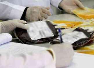 Indennizzo a vita per donna con sangue infetto durante trasfusione news-20092024-170634