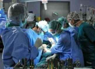 Chirurgo condannato per lifting al seno sbagliato: lesioni colpose news-21092024-045513