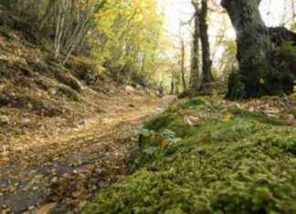 Itinerari ai Castelli Romani: Visite Guidate, Trekking, Presentazioni Libri e Degustazioni. Programma Completo news-21092024-235429