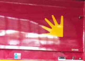 Dati Ama: 44mila tonnellate di materiali raccolti a Roma in 8 mesi news-22092024-095958