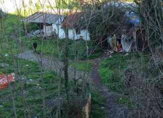 Rinascita dell’ex Borghetto degli Artigiani: Ostacoli e Soluzioni news-23092024-070755