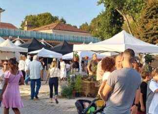 Festival Green Market a Roma: arte, laboratori, spettacoli e food sostenibile news-23092024-133806