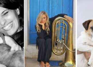 Festival del Tappeto del Cinema per Animali: Evento Solidale dedicato agli Animali news-23092024-190847