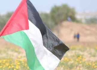 Manifestazioni pro Palestina a Roma del 5 ottobre: vietati due cortei news-25092024-094321