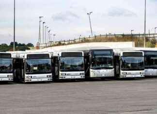 Risposta: Denuncia sui social per lasciare bus acceso con passeggeri a bordo news-25092024-135003