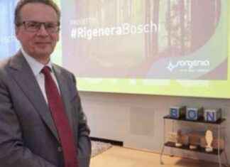 Sorgenia promuove #RigeneraBoschi: Come partecipare e contribuire. news-25092024-160337