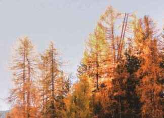 Previsioni Meteo: Arrivo della Perturbazione, Dove e Quando Colpirà news-27092024-234928