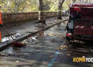 Spazzamento foglie intelligente: il nuovo servizio smart di Ama news-28092024-054012