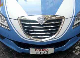 Furto smartphone e aggressione anziana: cronaca di un atto vandalico news-28092024-122144