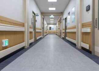 Infermiera aggredita a calci e pugni al Gemelli: arrestato l’aggressore news-29092024-105445