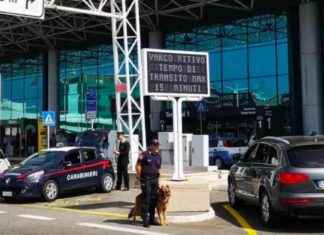 Fiumicino: sanzioni per ncc e taxi che cercano clienti all’aeroporto news-02102024-192900