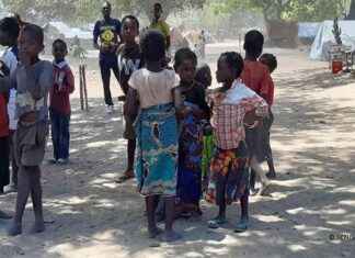 Mozambico: Cabo Delgado minacciata dagli islamisti – Ultimi sviluppi news-10102024-232533