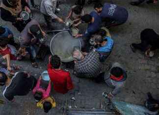 Guerra e fame: 21mila morti al giorno – Oxfam Report news-17102024-034714