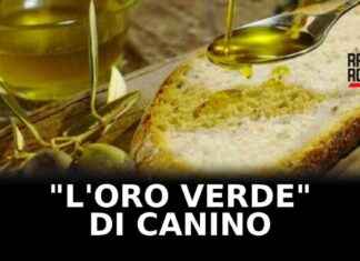 Scoperta dell’olio extra vergine d’oliva a Canino: Il tesoro verde (VIDEO) news-23102024-174734