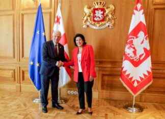 La situazione in Georgia: Preoccupazioni della Osce, Ue, Usa e Italia news-29102024-070628