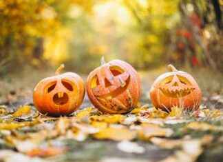 Halloween a Roma: Significato della Festa e la Sua Origine – RomaSette news-01112024-231559