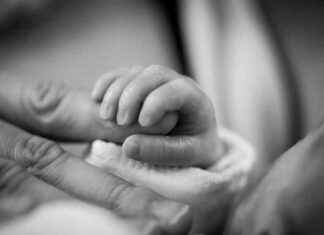 Sostenere le famiglie: Stati Generali della Natalità con Gualtieri news-15112024-165706